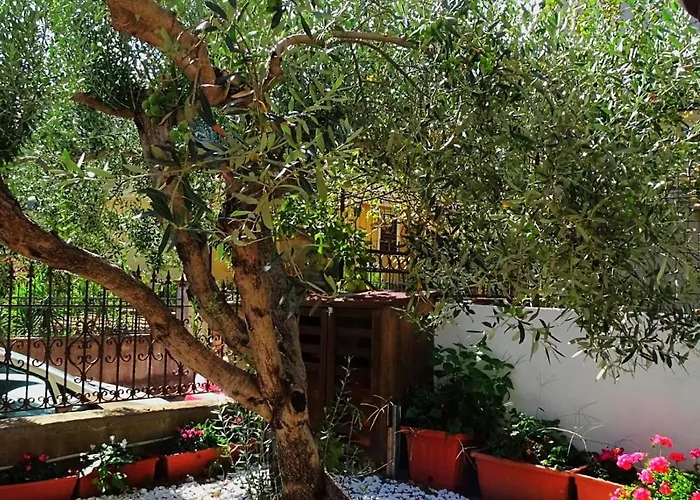 Le Sorgenti Ilbono